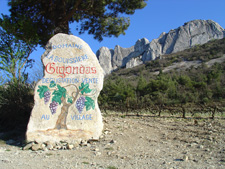France-Provence-Provence Walk & Wine